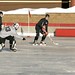 Shane Bandy Photo 19