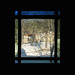 Barrington Simon Photo 4