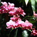Nancy Forrester Photo 40