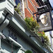 David Kavanagh Photo 18