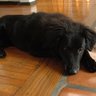 Ruby Boyd Photo 9