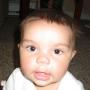 Robert Mahoney Photo 25