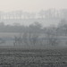 Lorraine Winters Photo 19