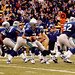 Chris Floyd Photo 13