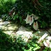 Kimberly Root Photo 31