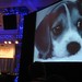 Kathy Fitzgerald Photo 24