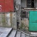 Shing Wong Photo 17