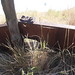 Douglas Dyer Photo 6