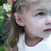 Sandy Gridley Photo 10