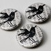 Jill Crow Photo 20