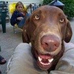 Terry Bitner Photo 5