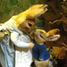 Peter Rabbit Photo 13
