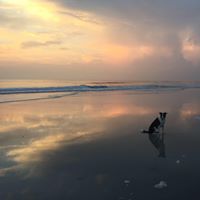 Kathleen Dougherty Photo 44