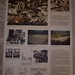 David Frates Photo 15