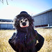 Roxanne Roderick Photo 2