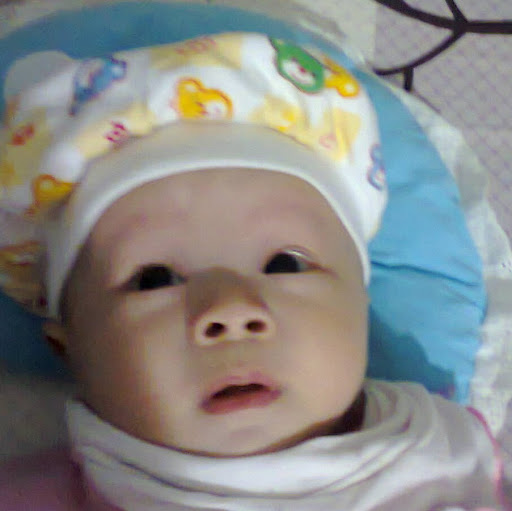 Minh Quan Photo 20