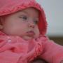 Teresa Mcclain Photo 25