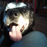 Deborah Ridgeway Photo 4