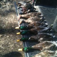 Jeremy Robison Photo 18