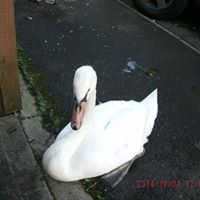 Susan Bainbridge Photo 35