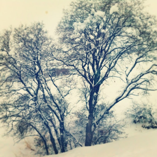 Sue Hendricks Photo 19