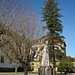 Elizabeth Lopes Photo 19