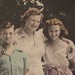 Suzanne Richards Photo 10