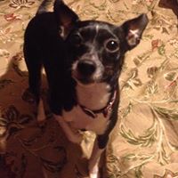 Cheryl Nobles Photo 6