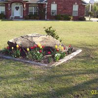 Sandra Tynes Photo 10
