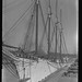 William Mast Photo 25
