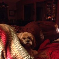 Janet Reiter Photo 21