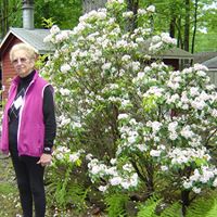 Sandra Shrader Photo 19