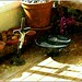 Derek Deines Photo 9