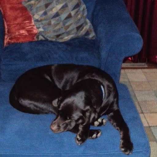 Connie Duffy Photo 31