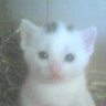 Kim Hamrick Photo 18