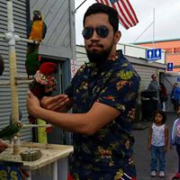 Jose Castro Photo 27