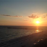 Debra Milam Photo 8