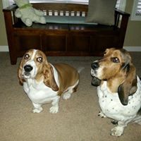 Teresa Goode Photo 9