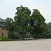 Xian Lin Photo 27