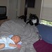 William Franz Photo 32