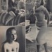 Susan Harrison Photo 21