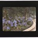 Dennis Watters Photo 16