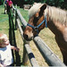 Michael Hanson Photo 28