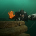 Steve Schultz Photo 9
