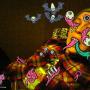 Shawn Ross Photo 23