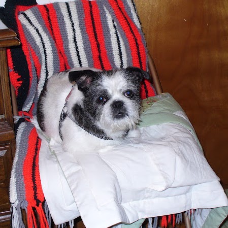 Phyllis Marshall Photo 14