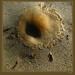 Martha Redden Photo 6