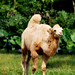 Guang Xiang Photo 17