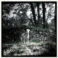 Harry Kerr Photo 16