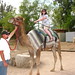 Kellie Rode Photo 8